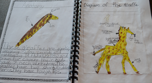 Animal report 4_WEB