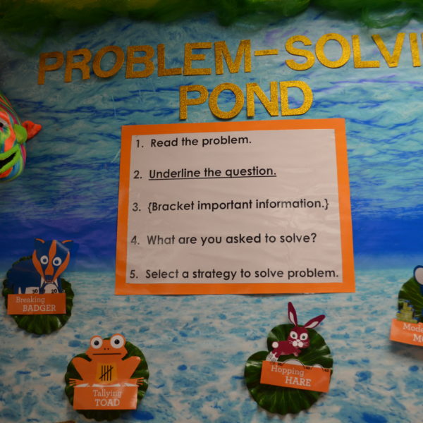 Problem-Solving Pond2