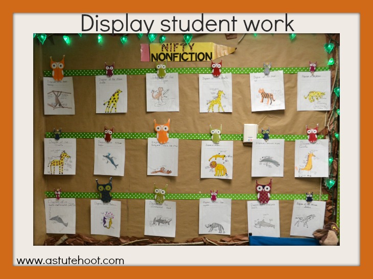 Display Student Work