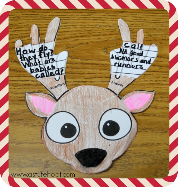 Reindeer question and answer