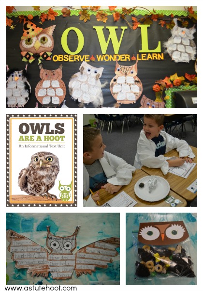 Owl Informational Unit