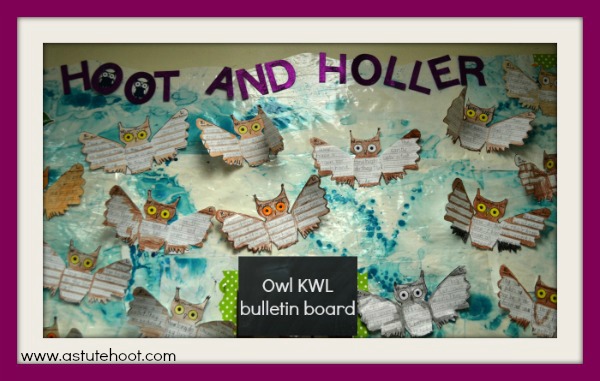 Owl KWL bulletin board