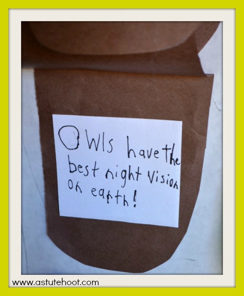 Owl Q&A door 2