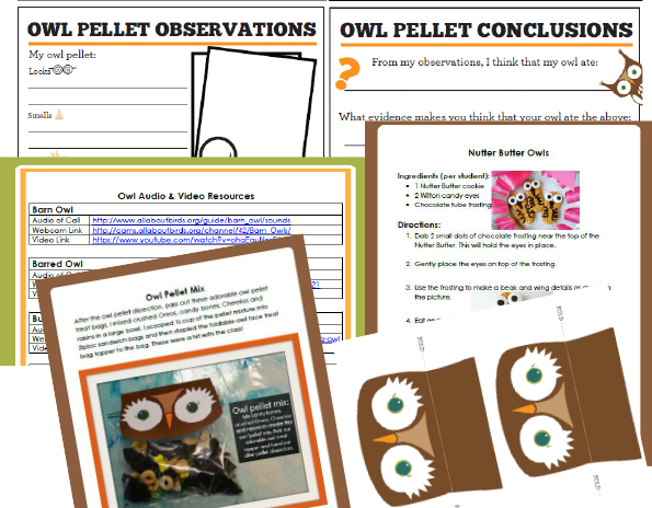 Hoot comprehension questions and answers image
