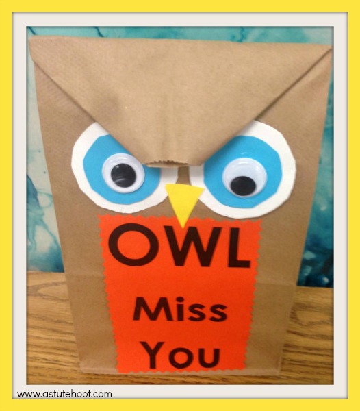 OWL Treat Bag