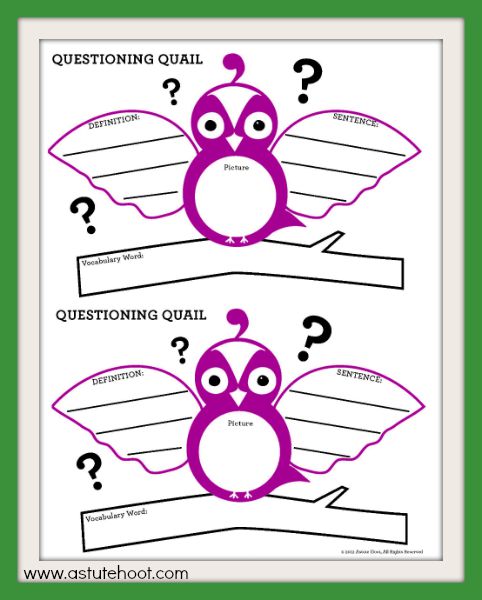 Quinn Vocabulary Graphic Organizer