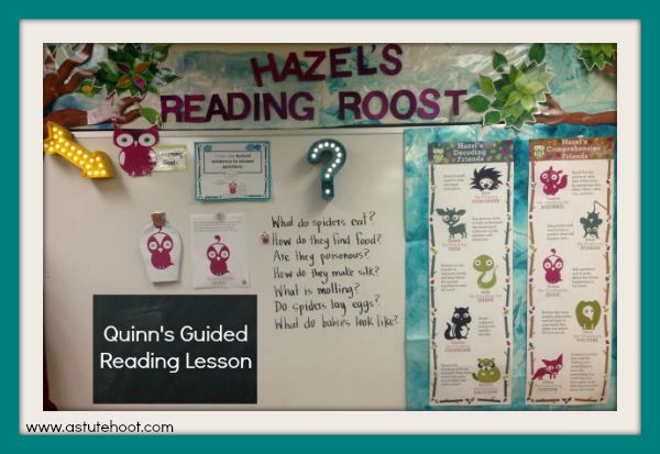 Quinn's Reading Roost