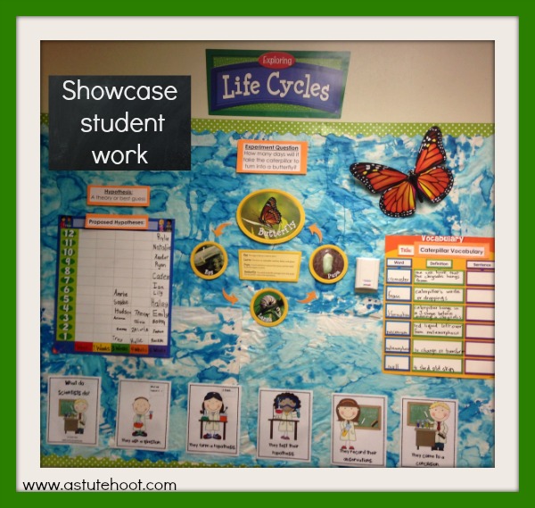 Showcase student work