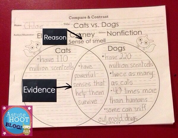 Venn diagram with blog